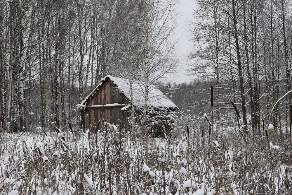 Photograph by Юлия Ю.