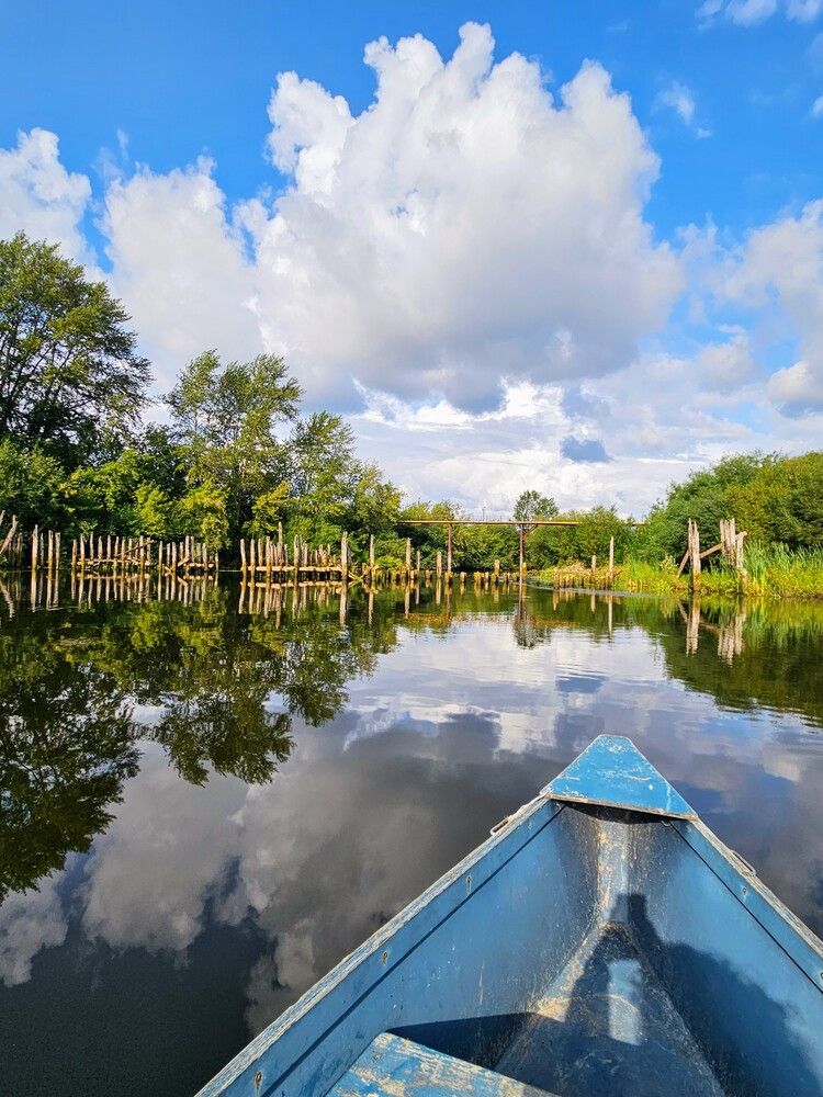 Photograph by Эльвира