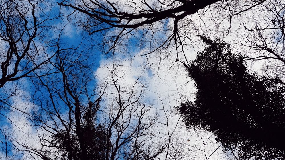 Photograph by David Pipia