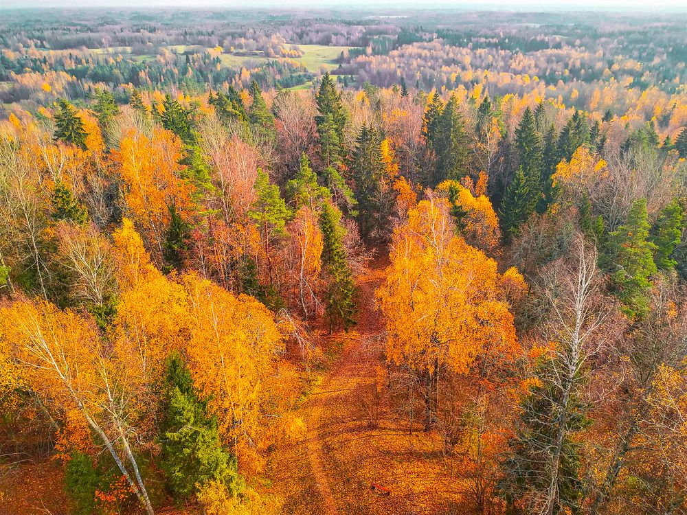 Photograph by Jekaterina Smolicka