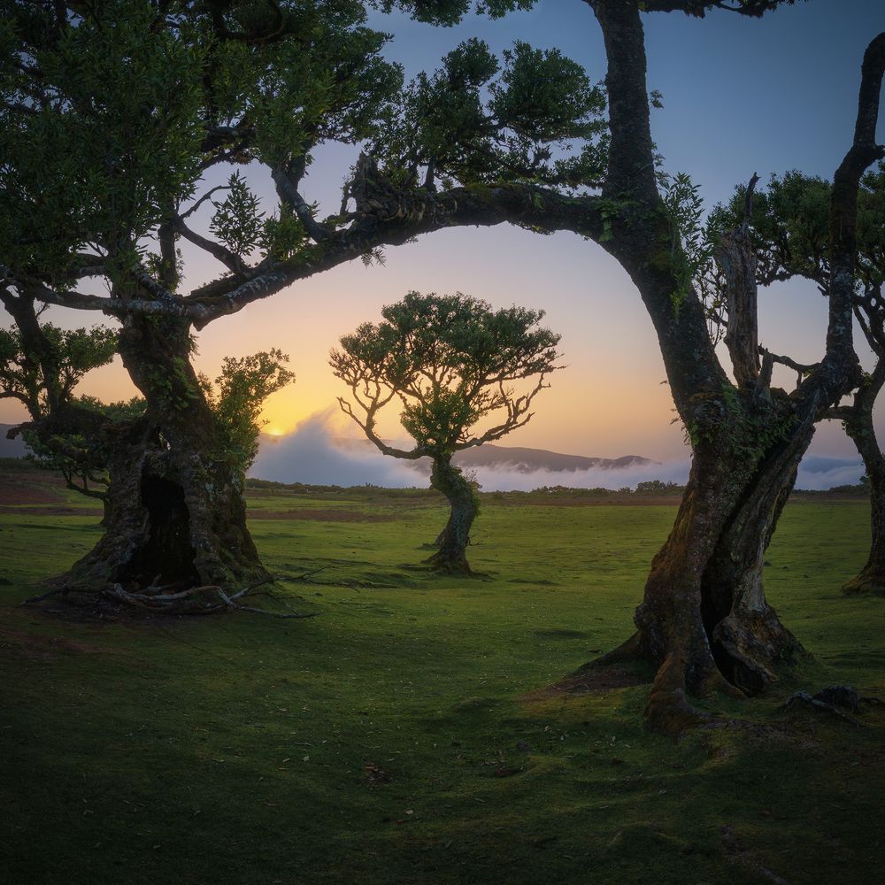 Фотография автора Javier Enjuto Garcia