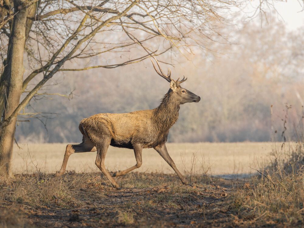 Фотография автора Sebastian Popa