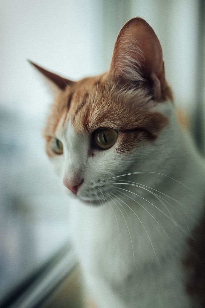 Photograph by Алена Полищук