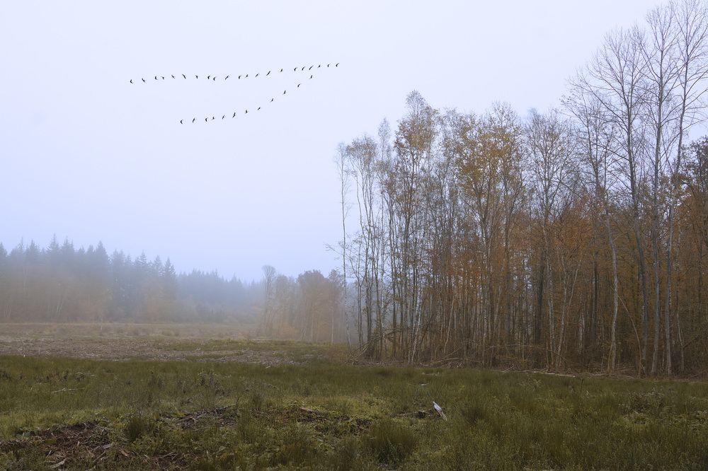 Photograph by LYUDMYLA POKRYSHEN