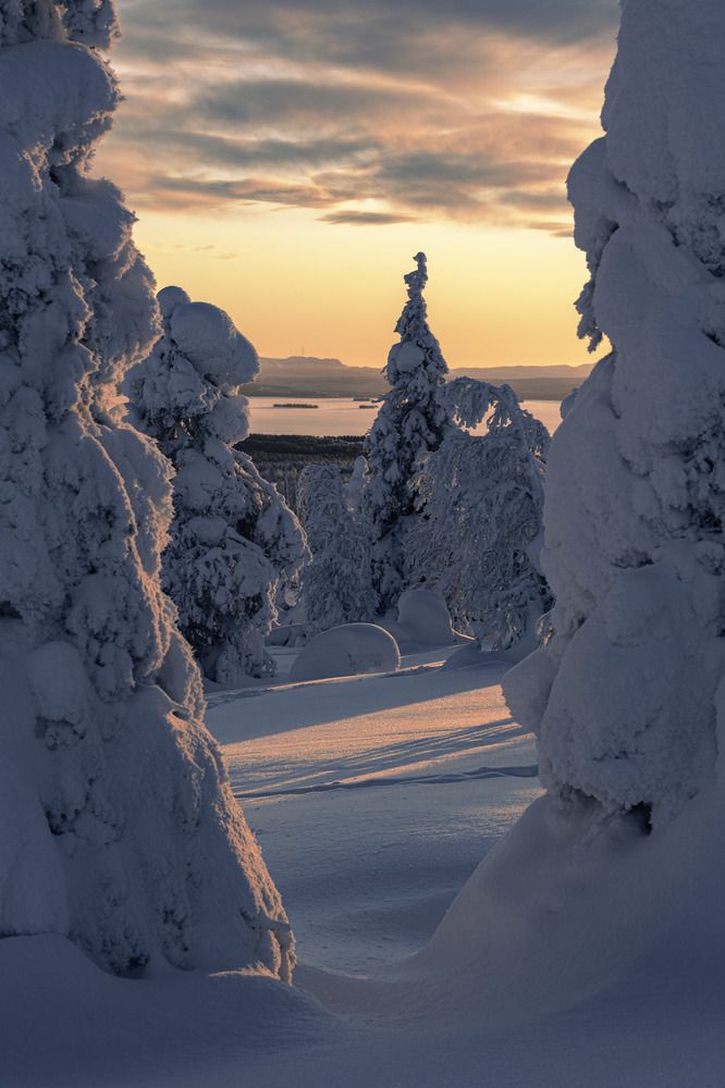 Photograph by Haim Rosenfeld