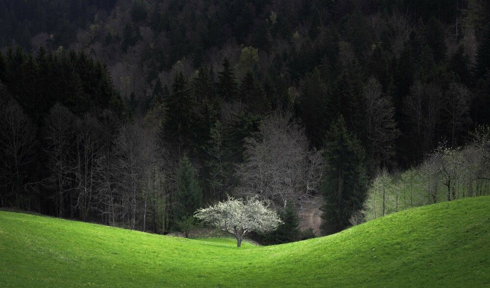 Photograph by Haim Rosenfeld