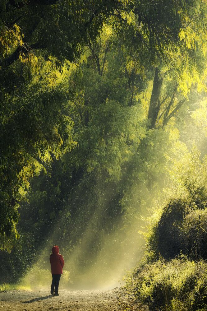 Photograph by Haim Rosenfeld