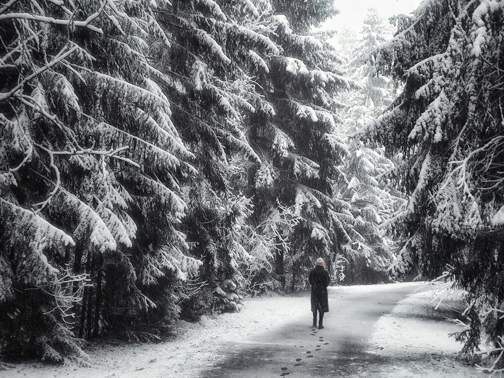 Photograph by Jekaterina Smolicka