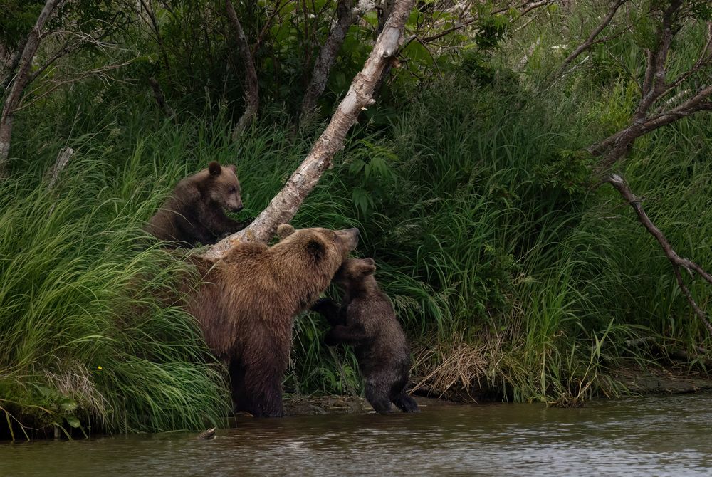 Photograph by Галина Павлова