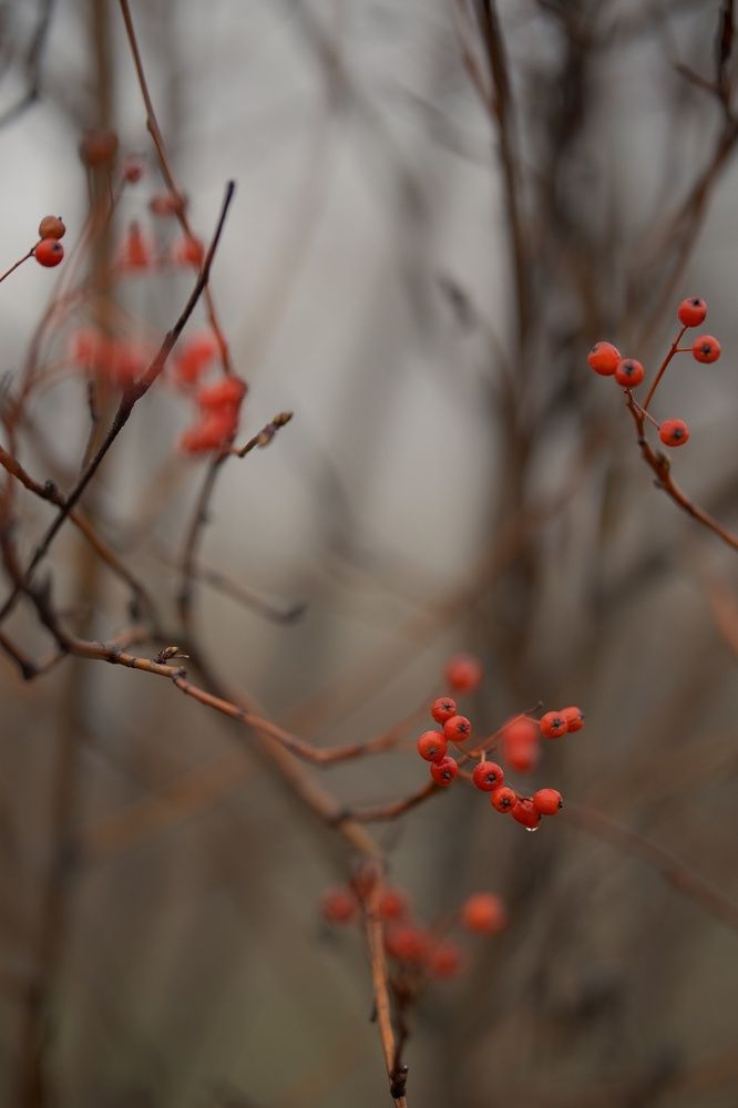 Photograph by Ирина