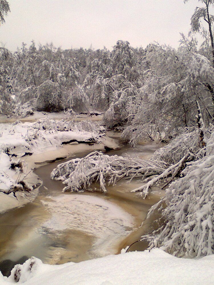 Фотография автора Михаил Смирнов