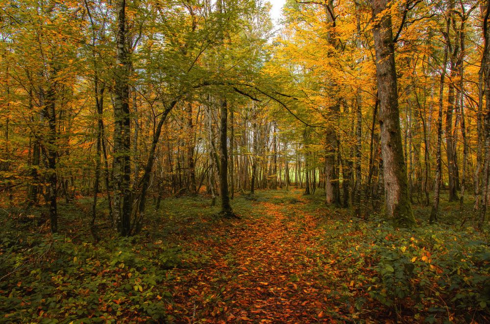 Photograph by LYUDMYLA POKRYSHEN