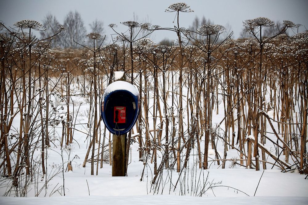 Фотография автора Totoro