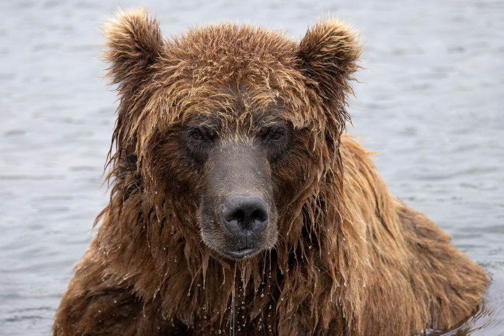 Photograph by Галина Павлова