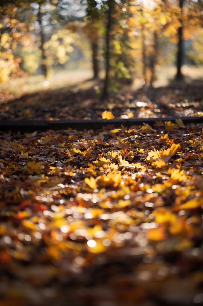 Photograph by Ирина