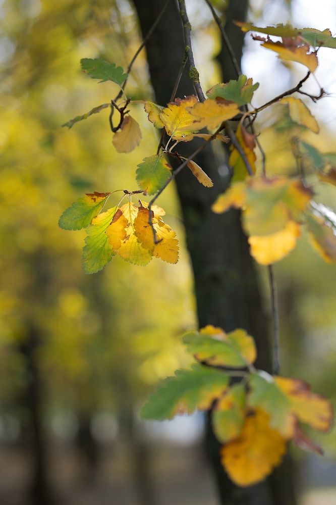 Photograph by Ирина