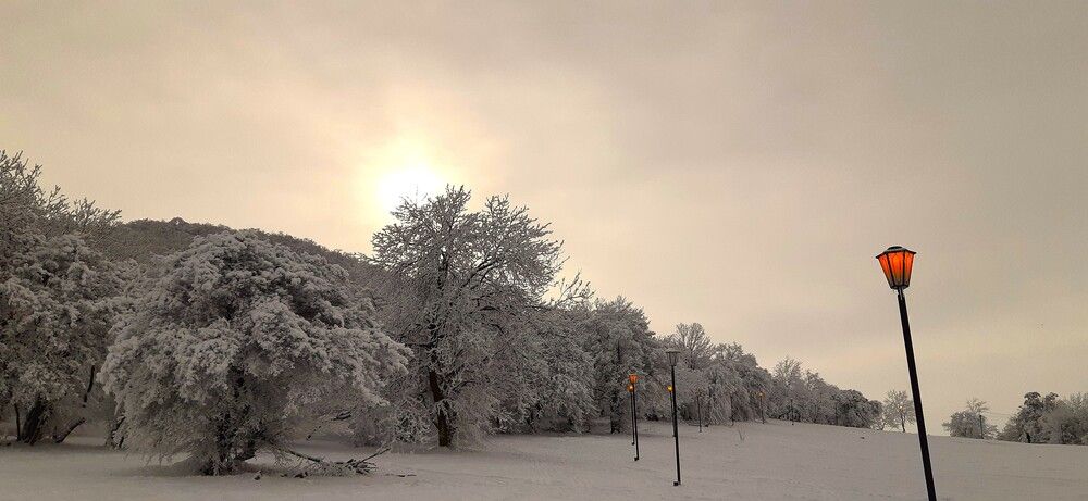Photograph by Галина Воеводенко