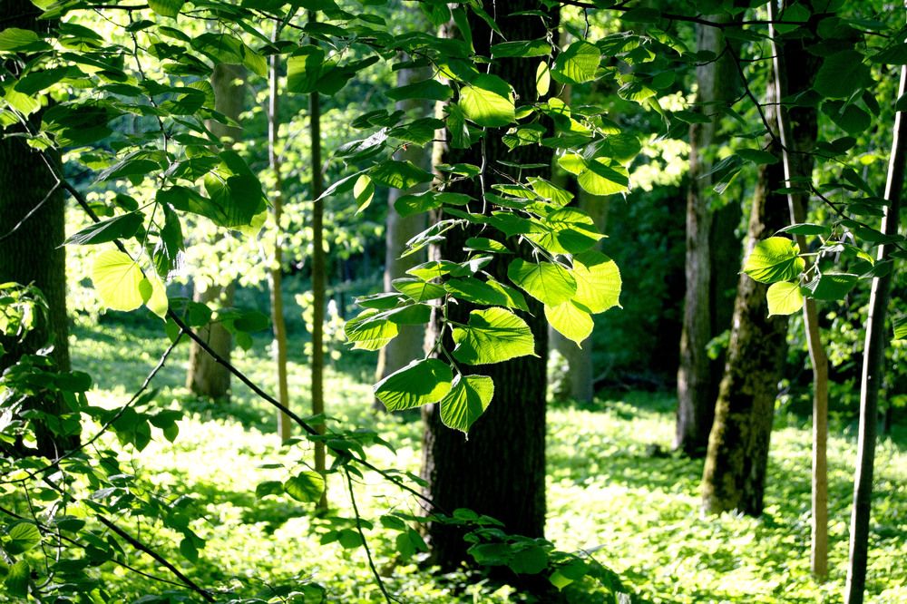 Photograph by Līga Sondare