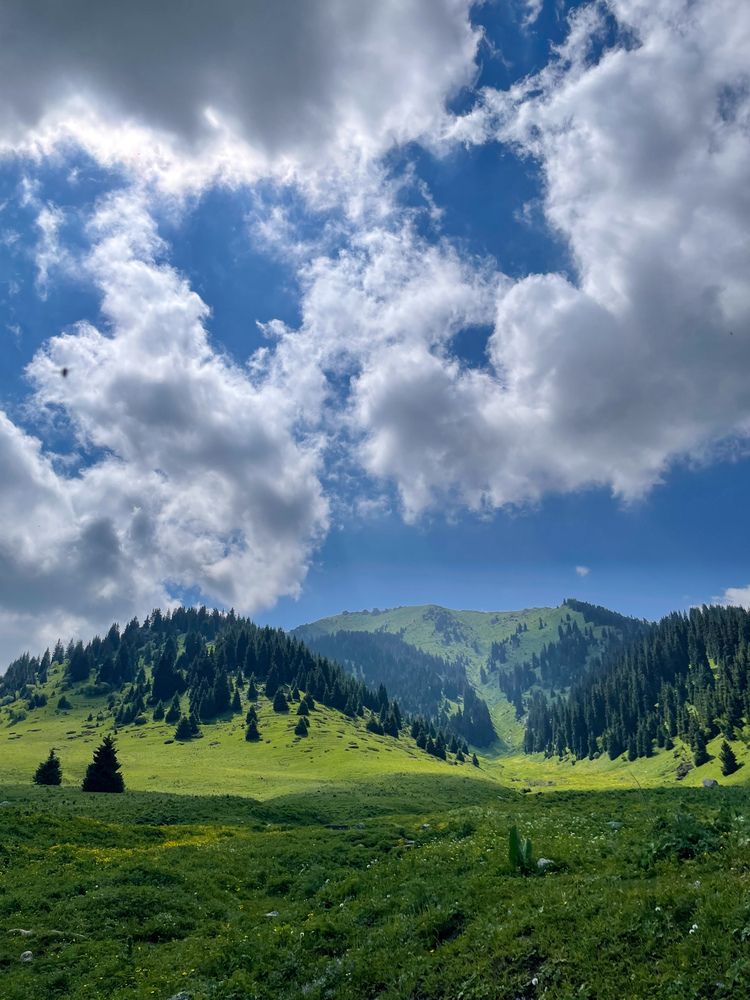 Фотография автора Владимир