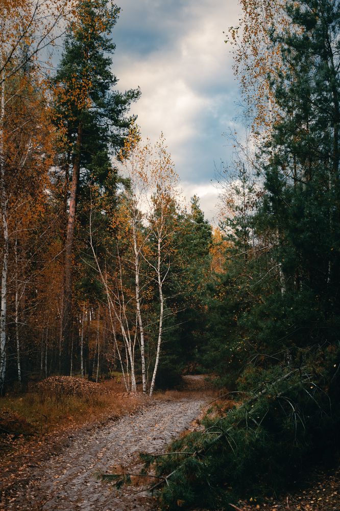 Фотография автора Оксана Ильченко