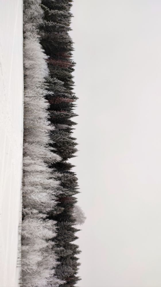 Photograph by Калюнова Наталья