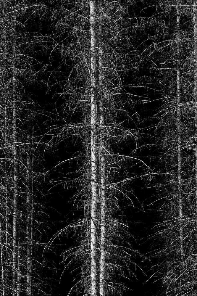 Photograph by Андрей Кузнецов