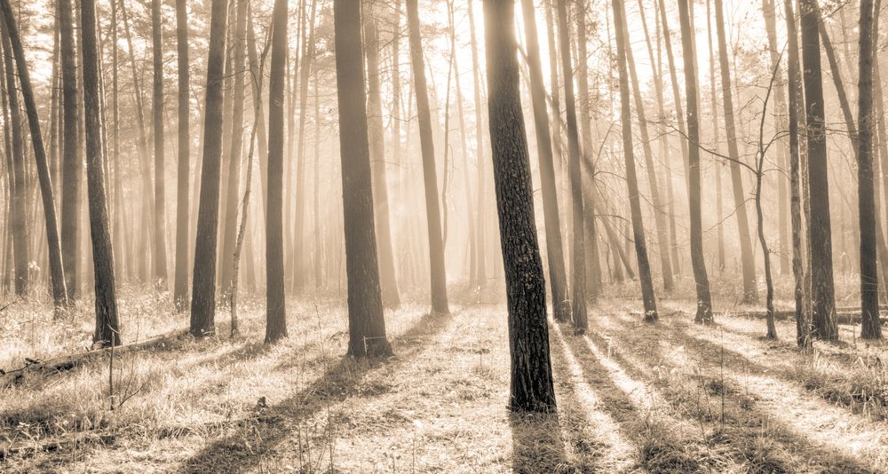 Photograph by Андрей Кузнецов