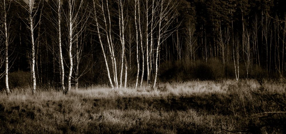 Photograph by Андрей Кузнецов