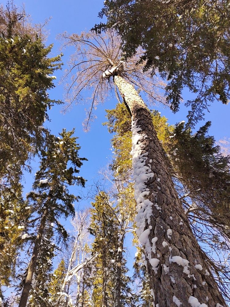 Photograph by Наталья Горовых