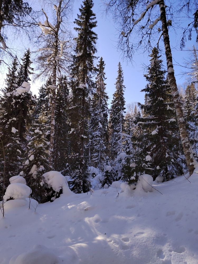 Photograph by Наталья Горовых