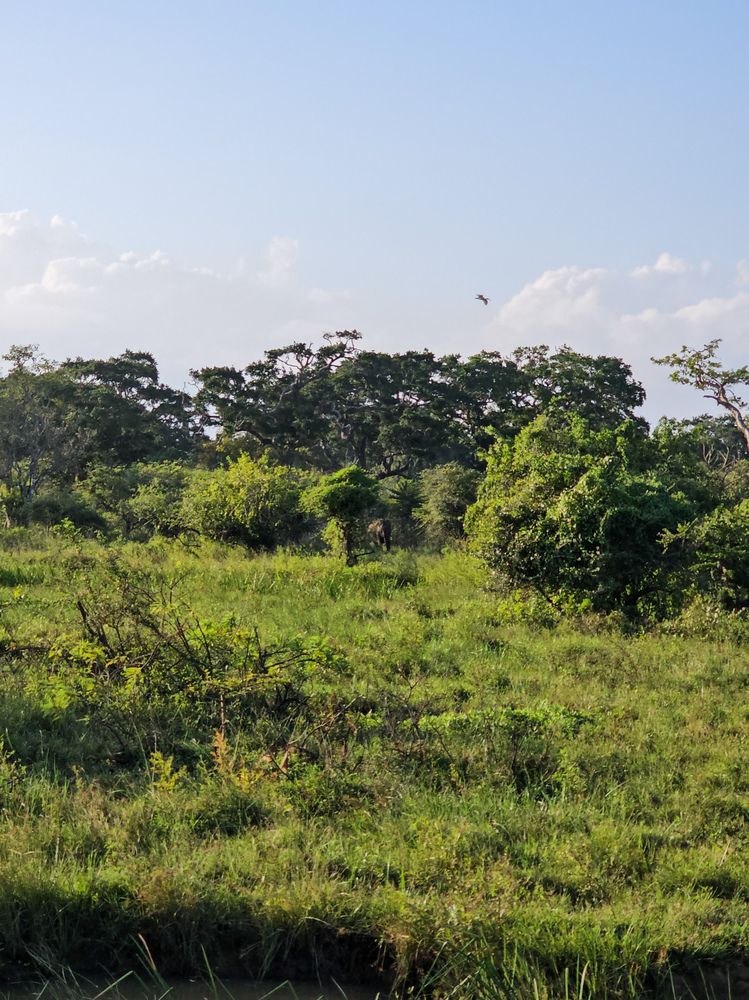 Фотография автора Ольга Шишук