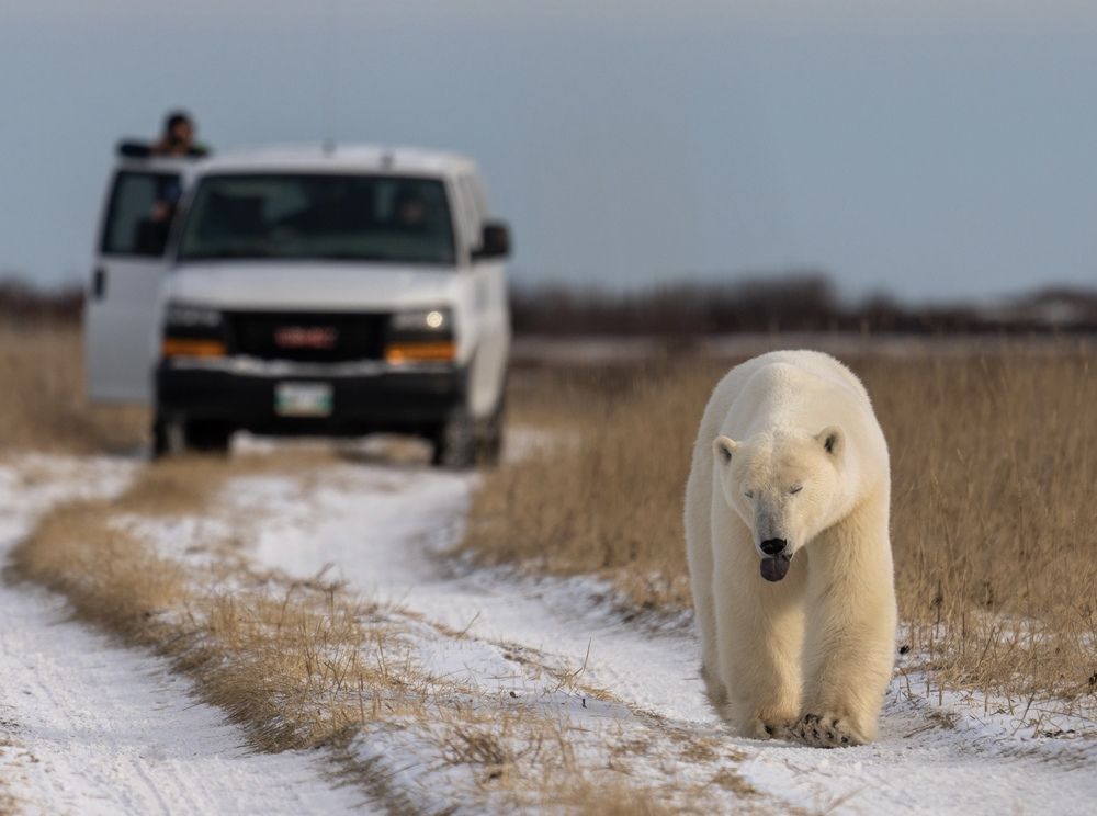 Photograph by Владимир Цветов