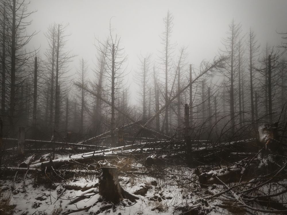 Photograph by Михаил Козлов