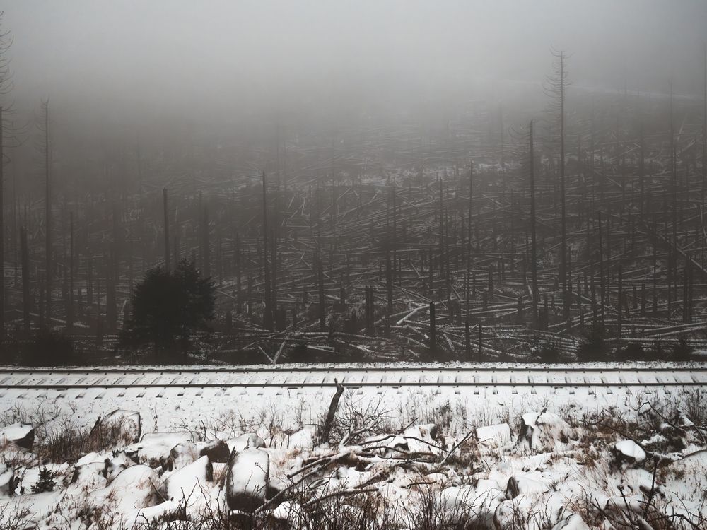 Photograph by Михаил Козлов