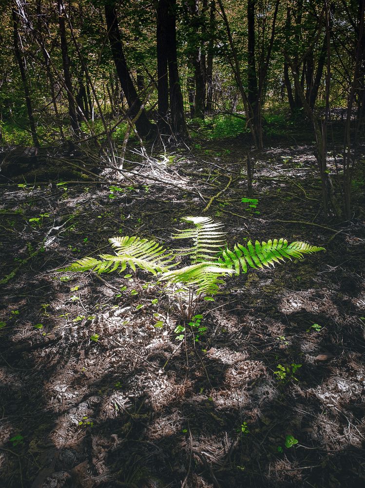 Фотография автора Ольга Шишук