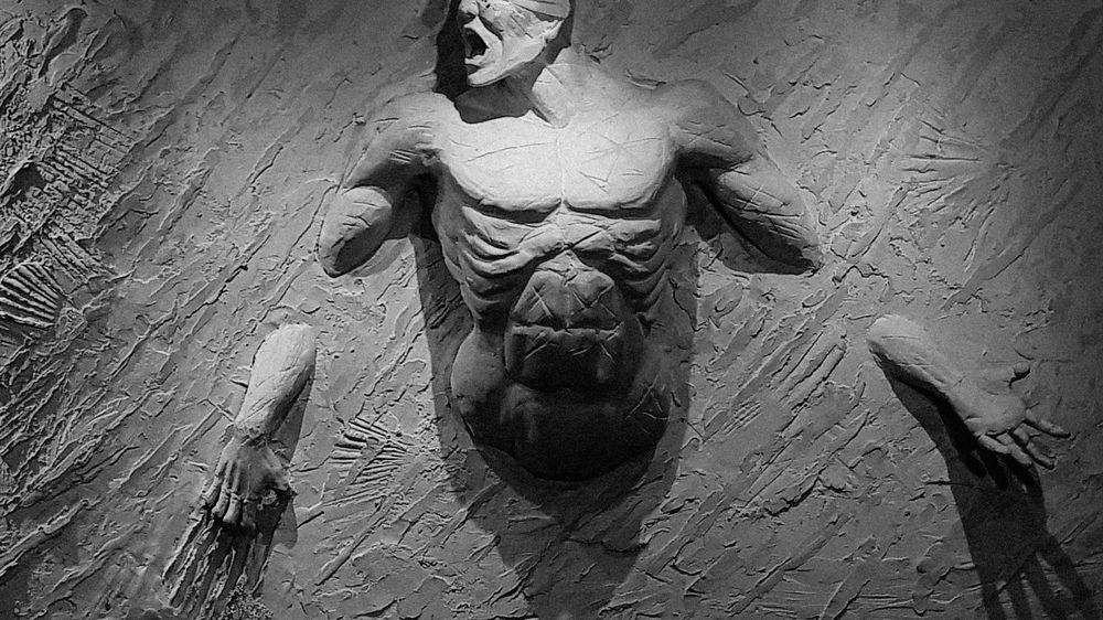 Photograph by MM Khojasteh