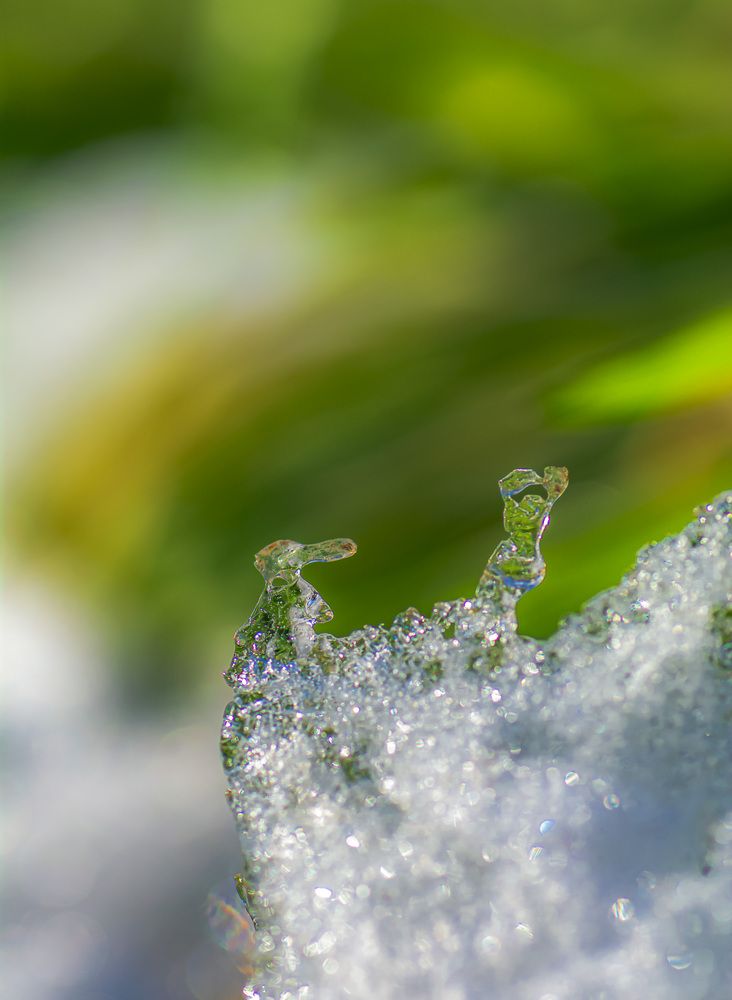 Photograph by Муза Латинская