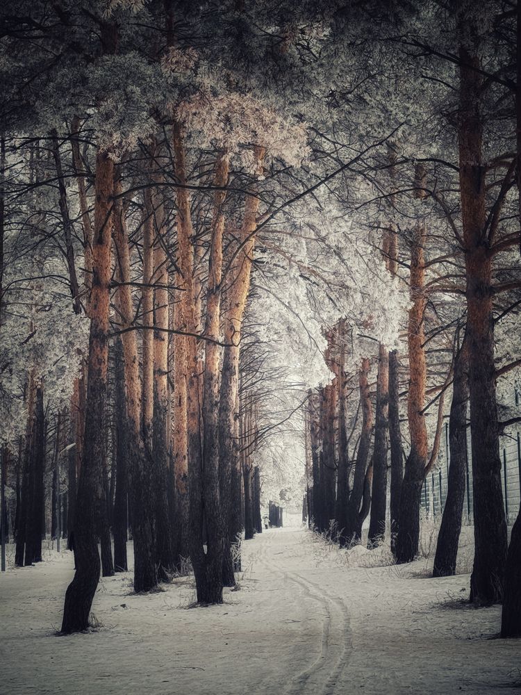 Photograph by Кира Бахвалова