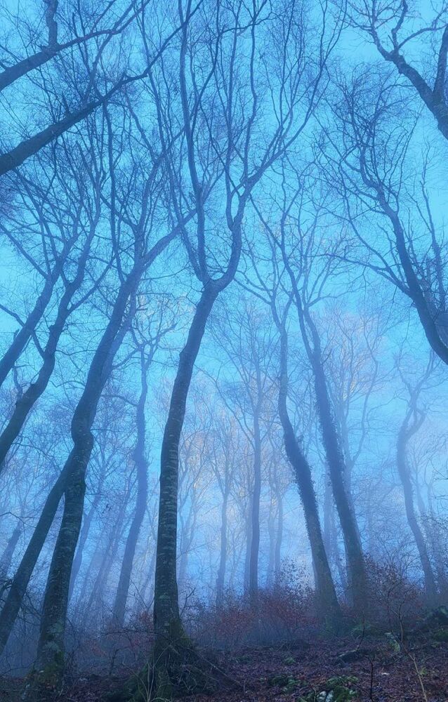 Фотография автора Lada Yakouchyk