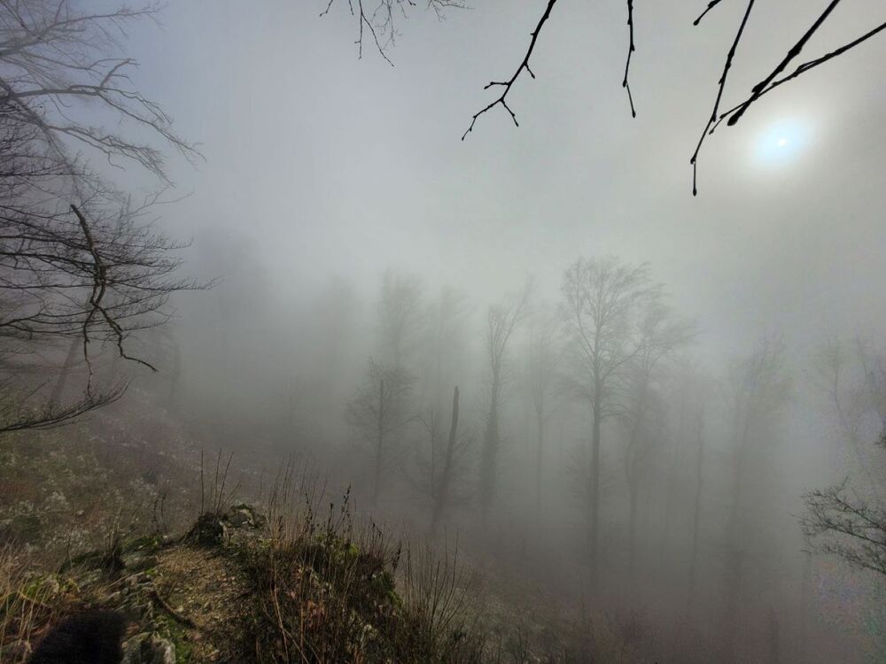 Фотография автора Lada Yakouchyk