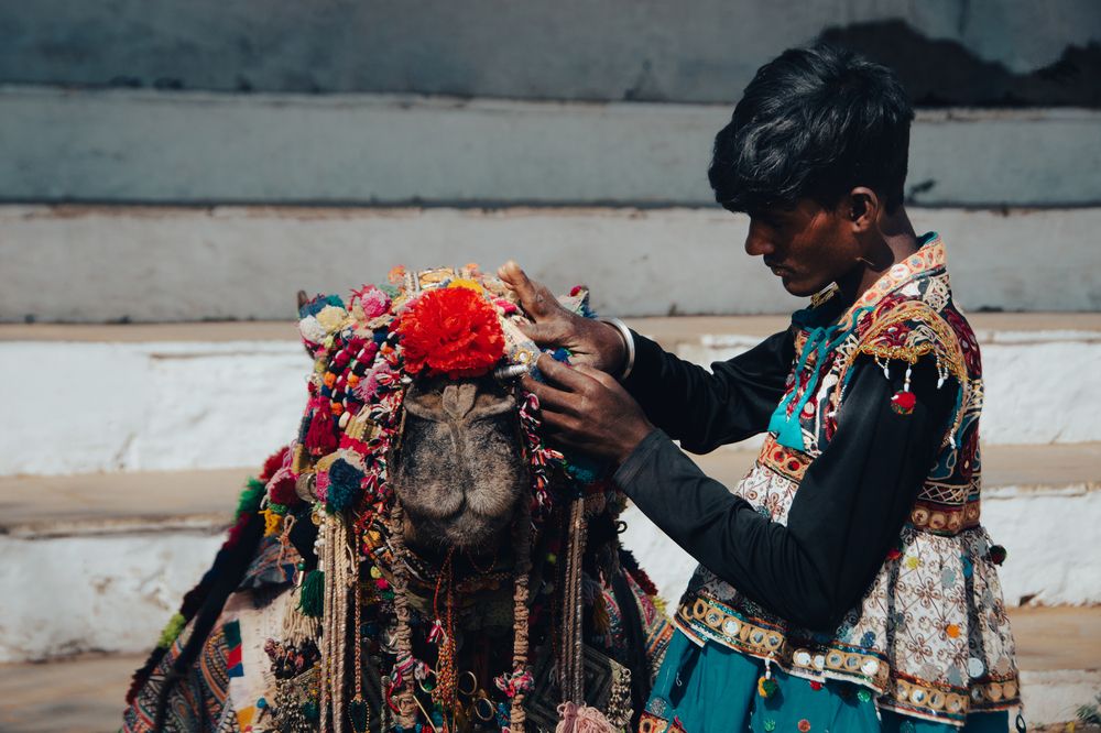 Photograph by prashant bamnawat