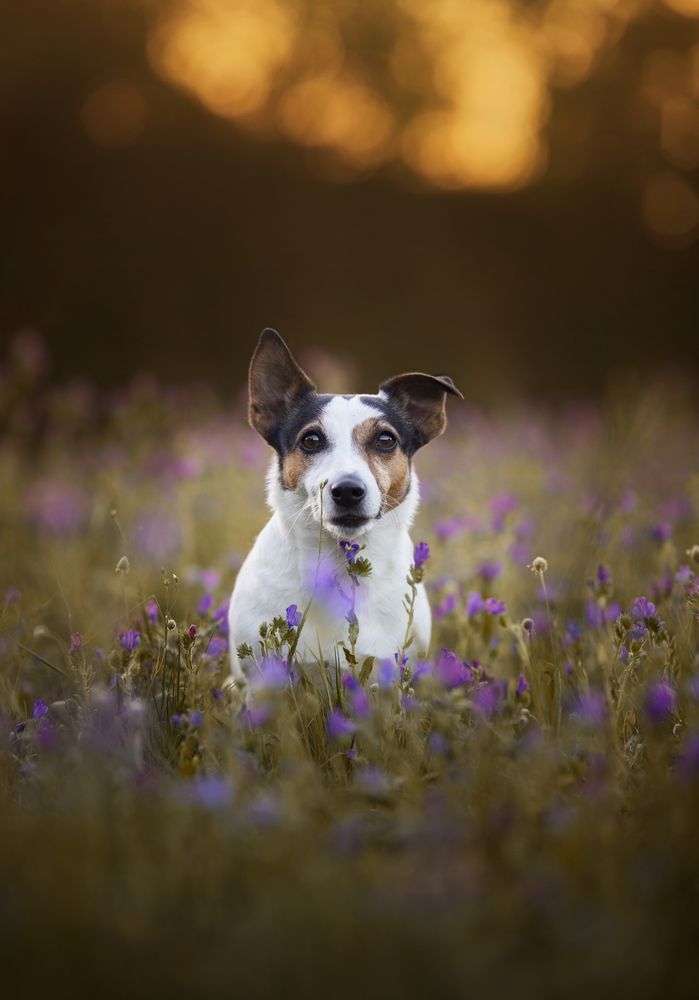 Photograph by Alexandre Marques