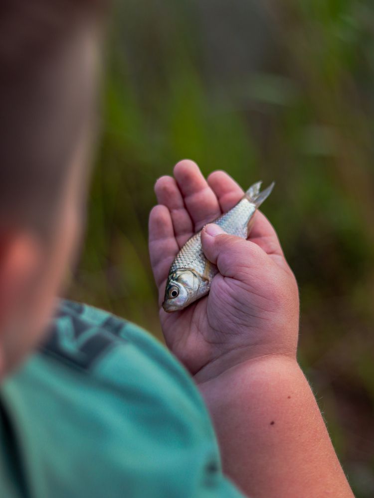 Photograph by Ekaterina Slepneva