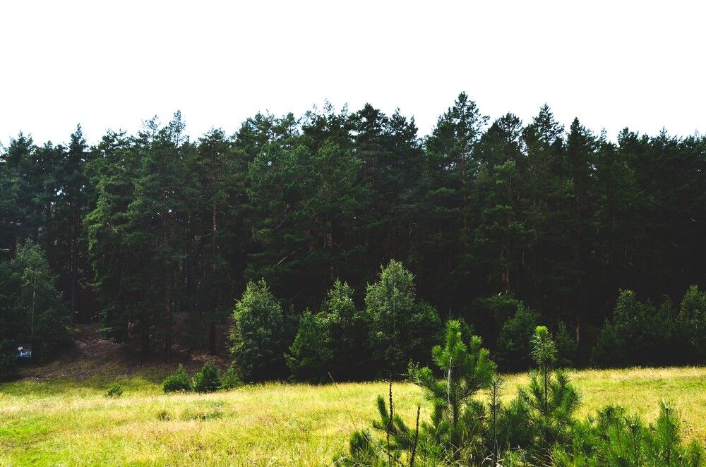 Photograph by Кристина Разаманова