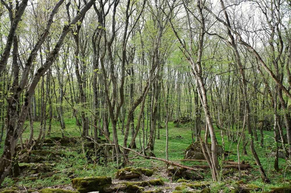 Photograph by Зорин Миша