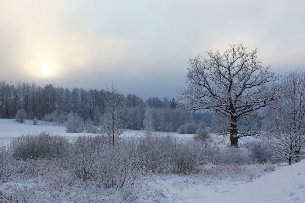 Photograph by irina volkova