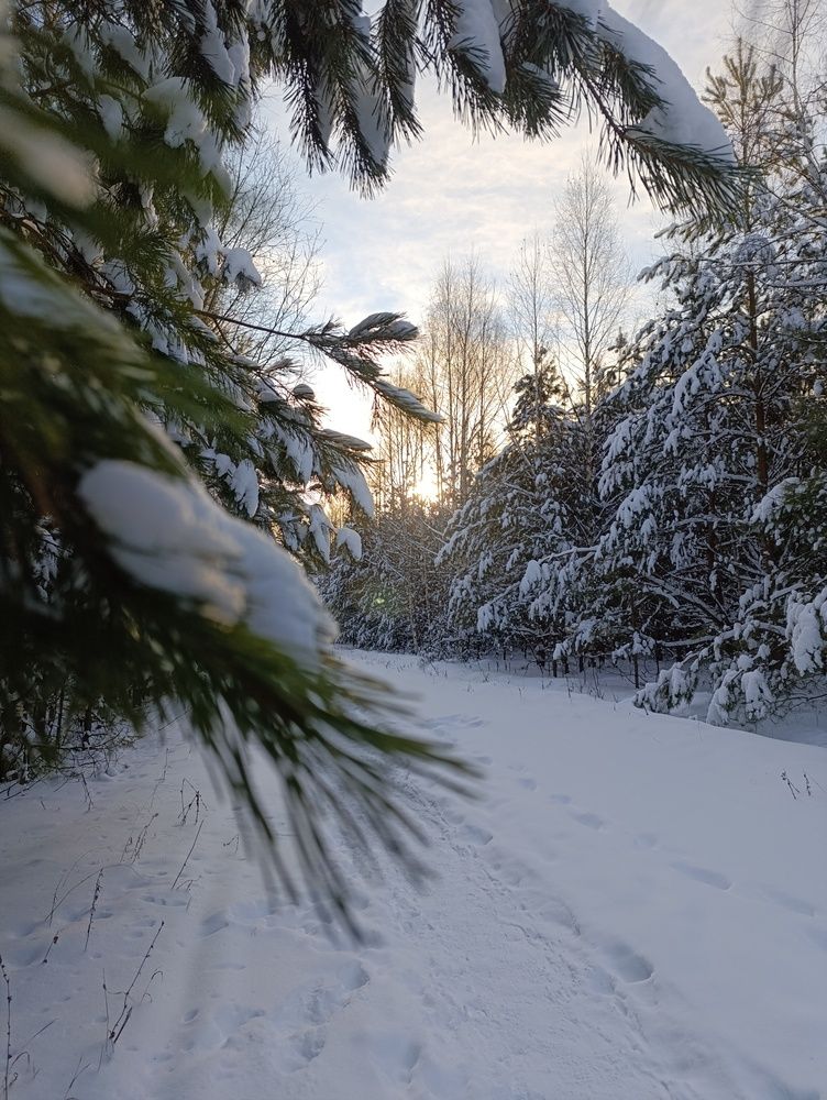 Photograph by Любовь Иванова