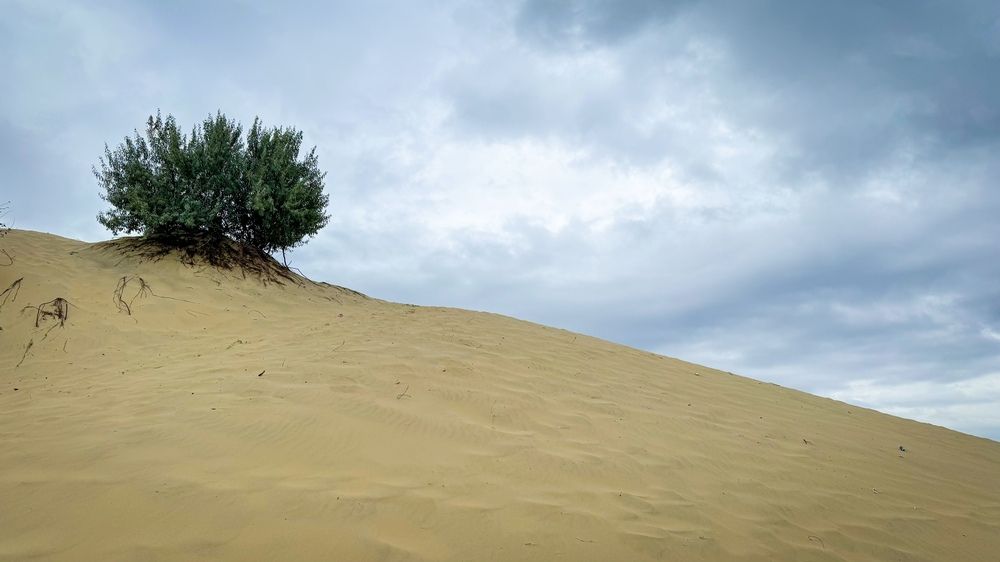 Photograph by Ekaterina Slepneva