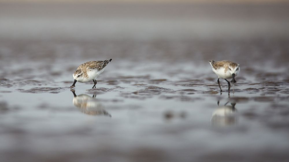 Photograph by HOANG MINH