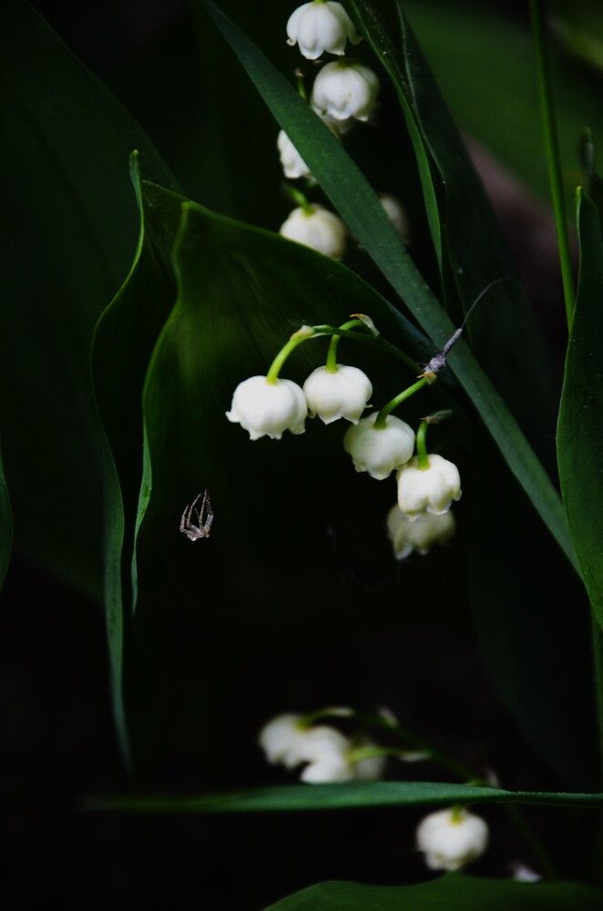 Photograph by Кристина Разаманова